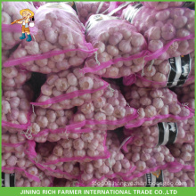 Good Price Mesh Bag Packing Fresh Red Garlic For Middle East